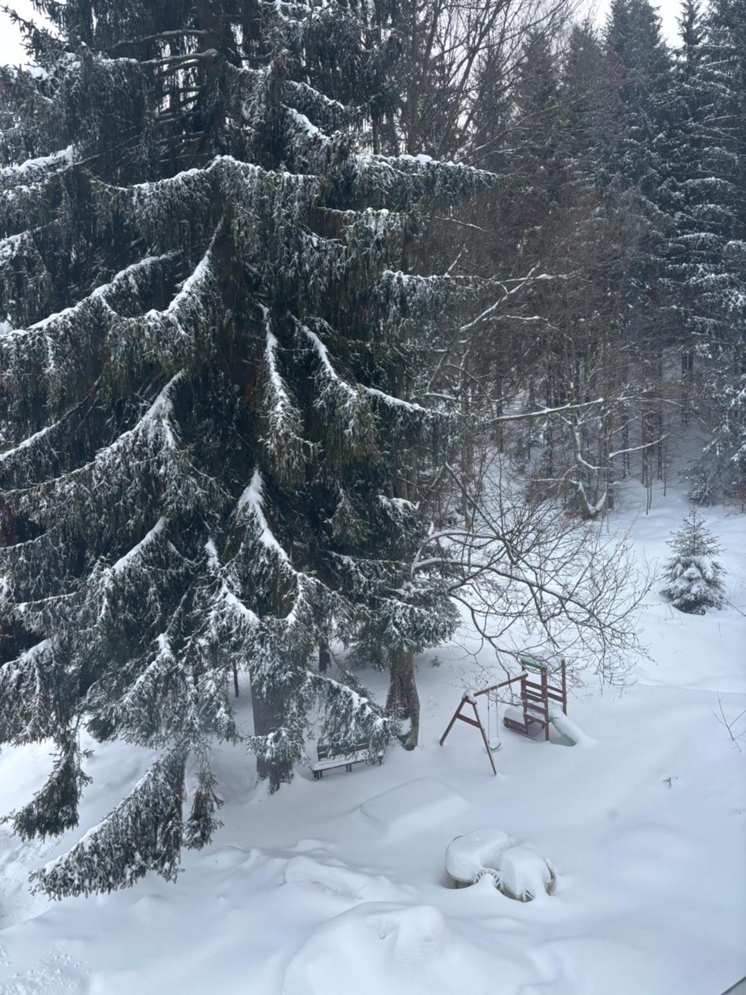 Apartment Owl Корженов Экстерьер фото